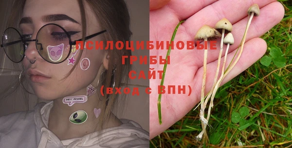 спиды Навашино