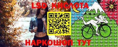 spice Ипатово