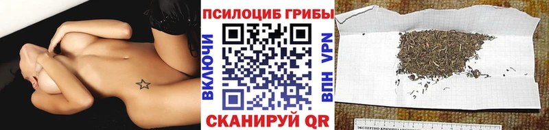 Галлюциногенные грибы GOLDEN TEACHER  Электрогорск 