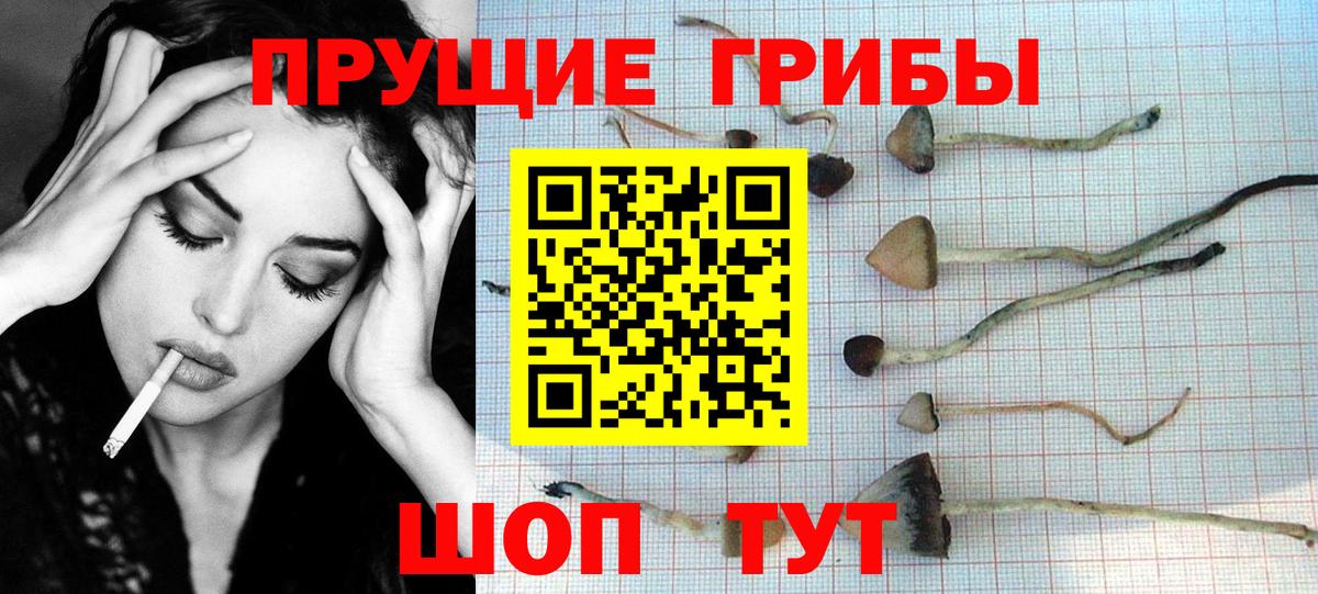 Галлюциногенные грибы GOLDEN TEACHER  Вход с VPN  Электрогорск 