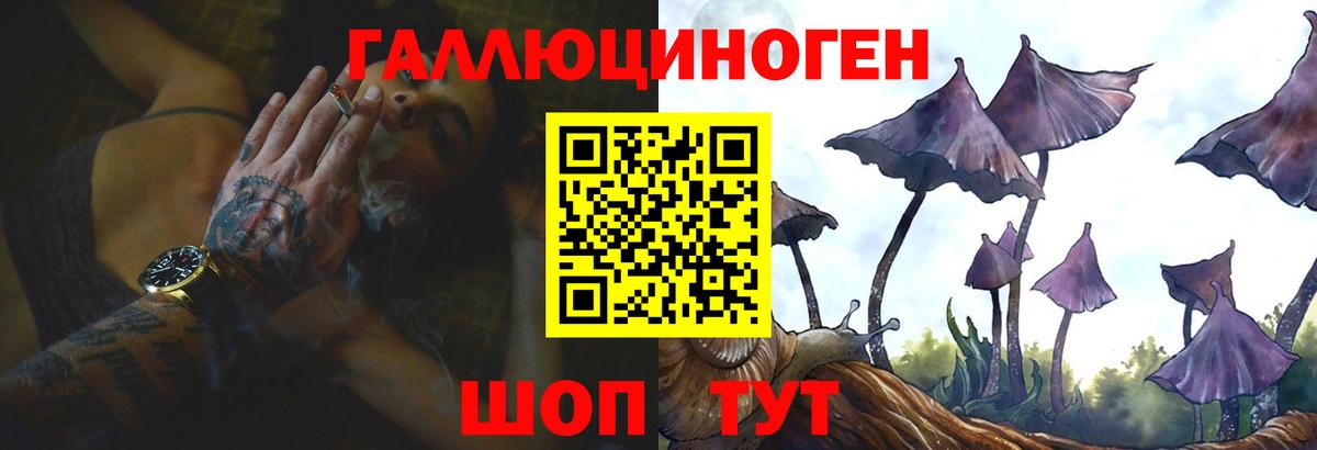 Галлюциногенные грибы MAGIC MUSHROOMS Электрогорск